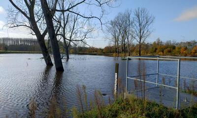 Overstromingsgebied Kontich