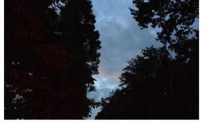 Lucht