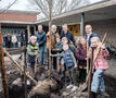 Groen oase in basisschool De Groeituin