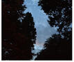 Lucht 